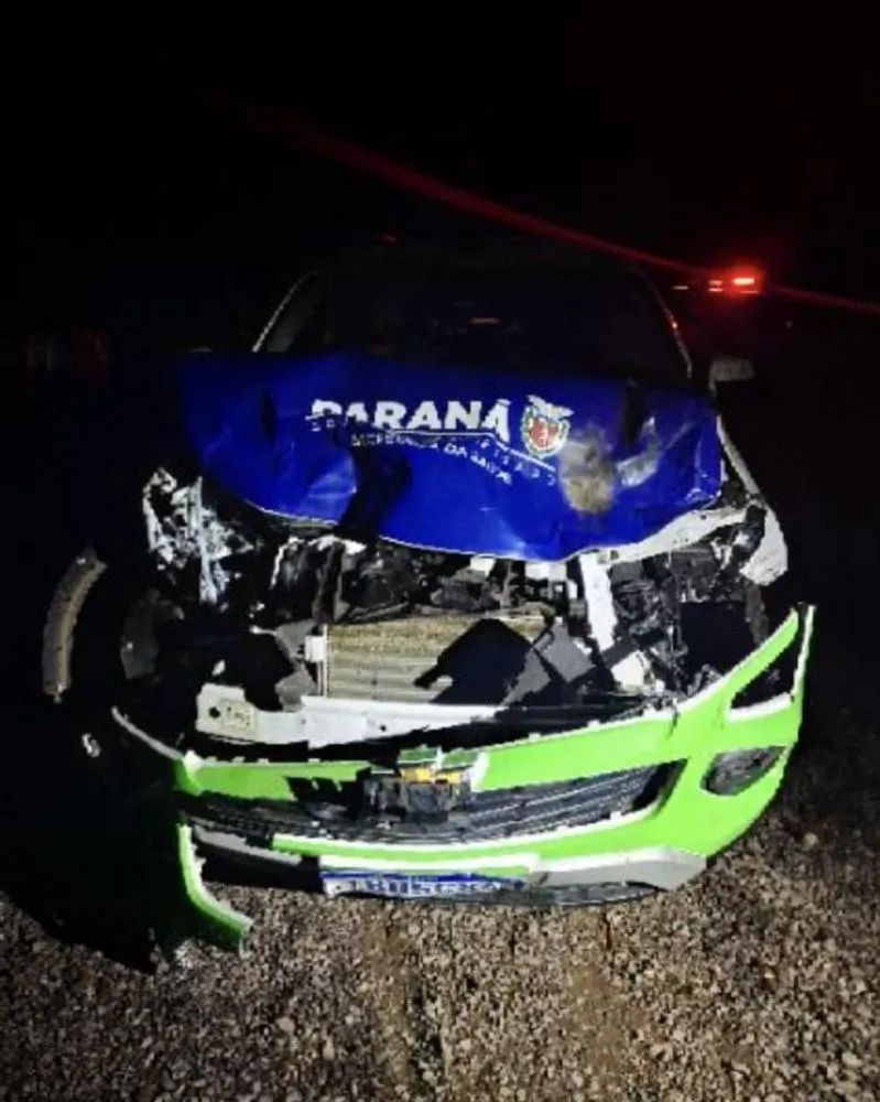 Animais na pista provocam acidente durante a madrugada