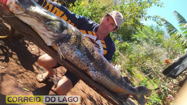 Pintado de 49 kg é capturado no Lago de Itaipu por pescador de Santa Helena e destaca importância da pesca sustentável