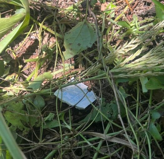 Bilhete da Mega-Sena esquecido em cena de crime ajuda na prisão de grupo que furtava usinas solares em Toledo e região