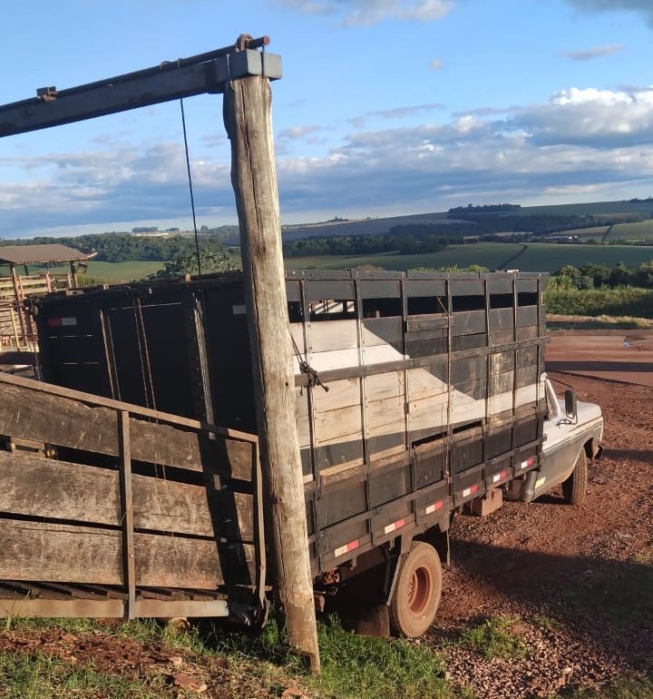 Alerta de furto: caminhonete F-4000 é furtada em Toledo