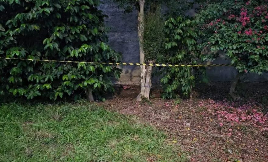 Jardineiro encontra roupinhas de bebê e feto enterrados em terreno