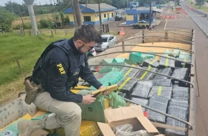 PRF apreende, no Paraná, a maior quantidade de maconha do ano em rodovias federais