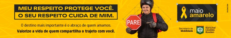 Cachorro na pista provoca capotamento de veiculo