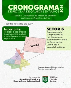  Depósito de galhos e entulhos no setor 6 deve ser feito de ate este domingo (05)