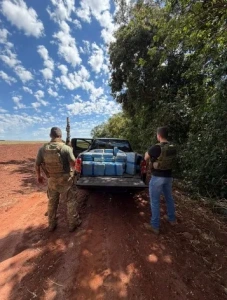 600 quilos de maconha apreendidos em Guaira