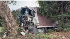 Choque  contra árvore  envolve carreta entre Maripá e Palotina