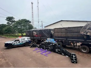 Forças policias apreendem bitrem com mais de duas toneladas e meia de drogas