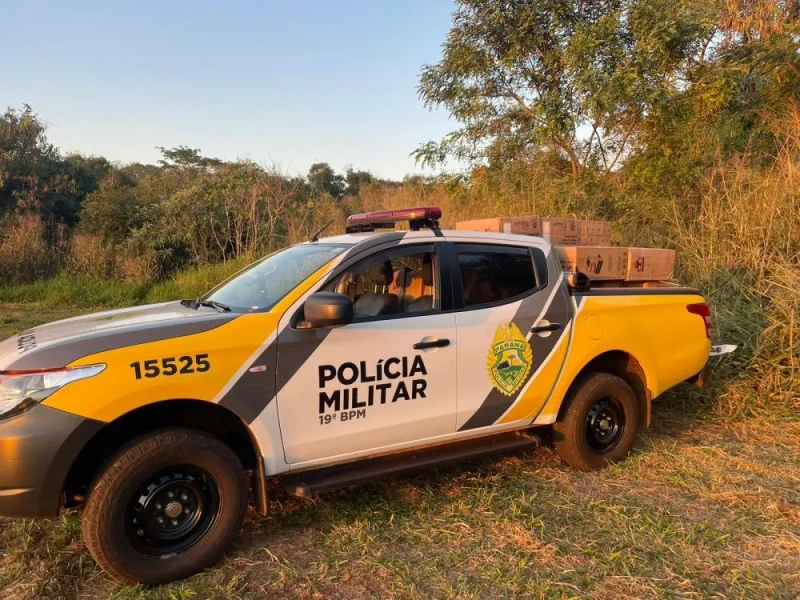 Atropelamento de cachorro resulta em ameaça e disparo contra veículo