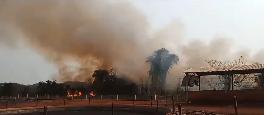 Incêndio de grandes proporções atinge áreas de mata em Pato Bragado